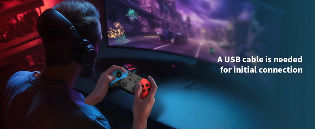 AceGamer Wireless Controller for Switch/Lite/OLED/PC Hall Effect Joystick for Switch 2 with Wake-Up/Turbo/Vibration/Programmable